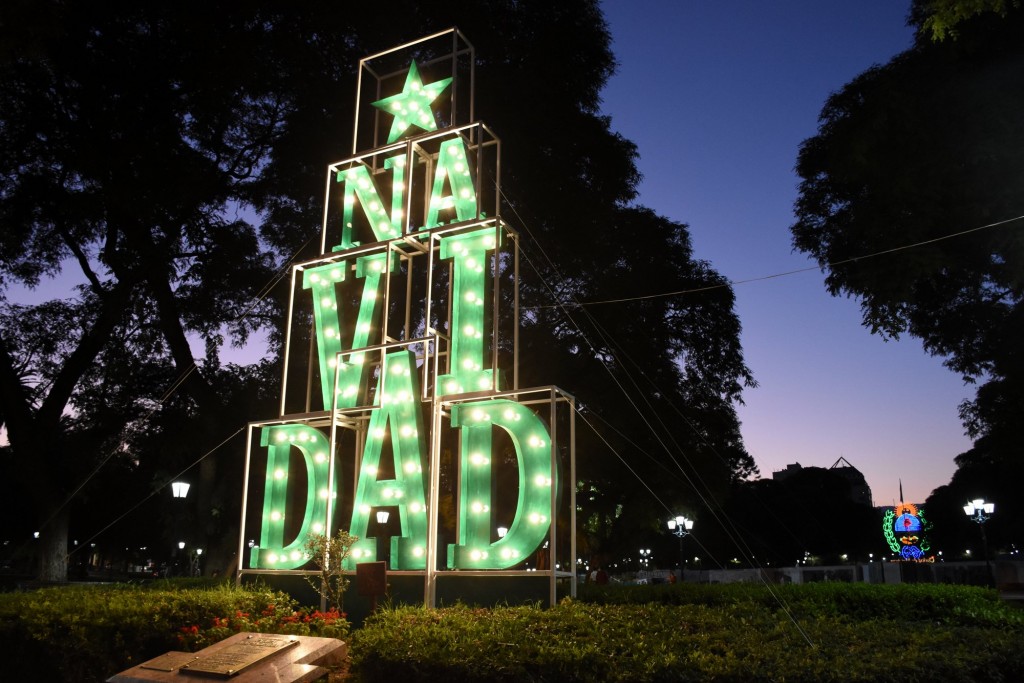 Pino Navidad en la Ciudad. Plaza Independencia